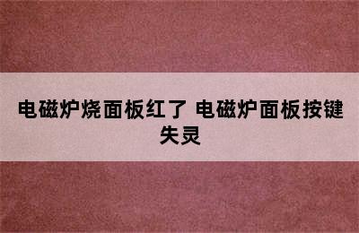 电磁炉烧面板红了 电磁炉面板按键失灵